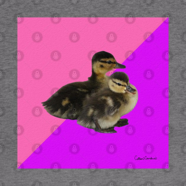 Baby Ducks on Pink Raspberry and Purple Sorbet by ButterflyInTheAttic